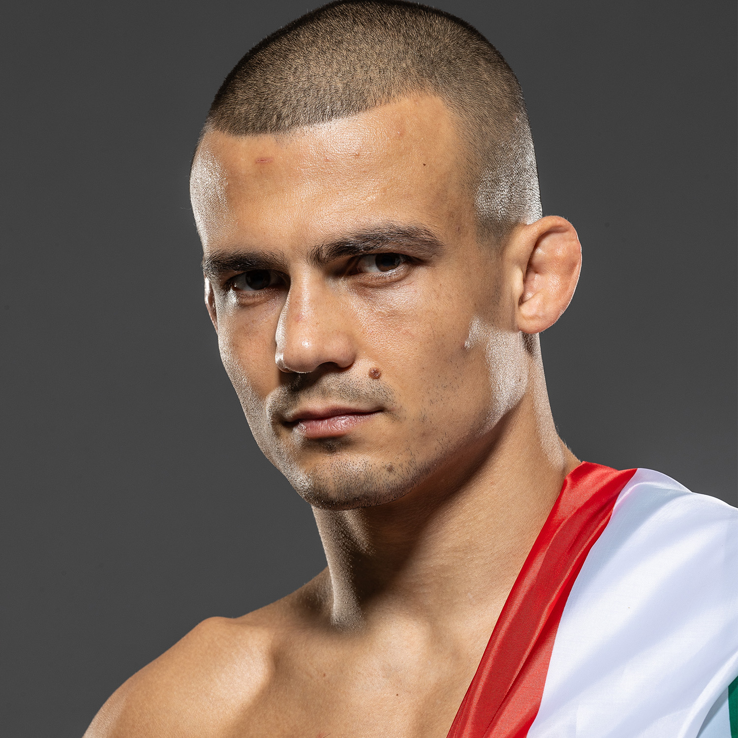 Borics Ádám Küzdelem